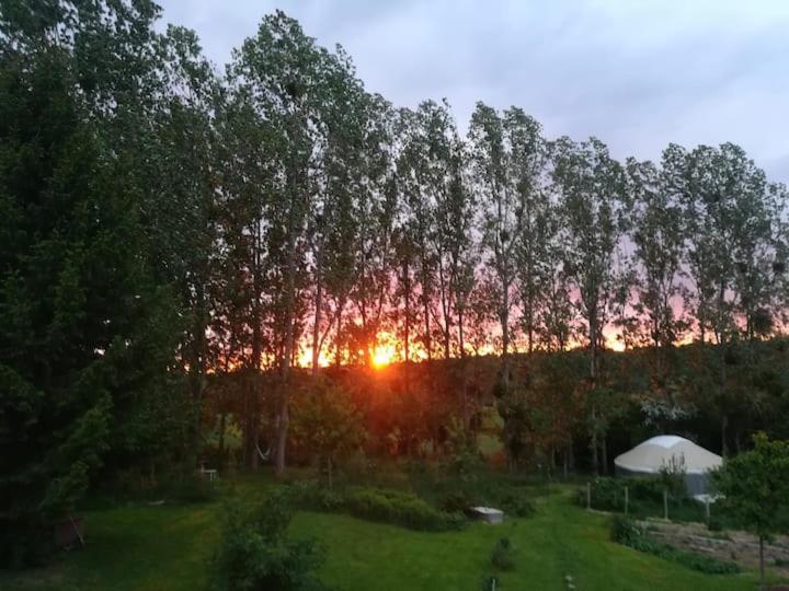 La Yourte Au Fonds Du Jardin Xhoris Exterior foto